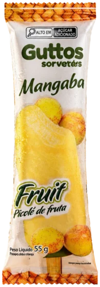 Fruit Mangaba