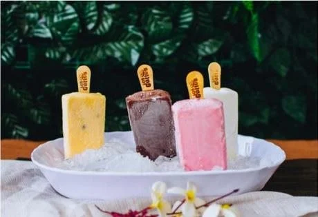 Paleta Sem Adição de Açúcares